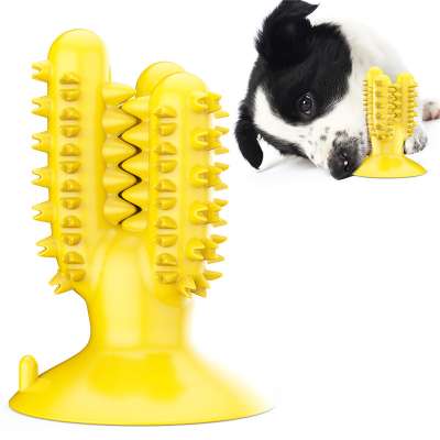 Chew Toys for Dogs Healthy Fresh Puppy Teeth Cleaning Brush Cactus Large Breed Dog Molar Toothbrush Stick Pet